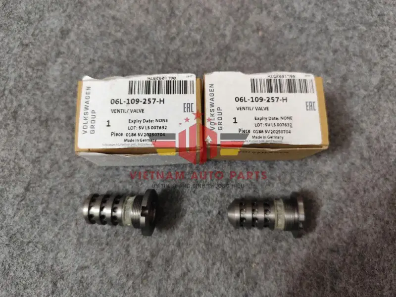 Ốc đầu cam audi Q5