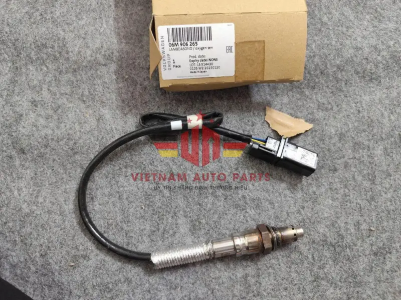 06M906265