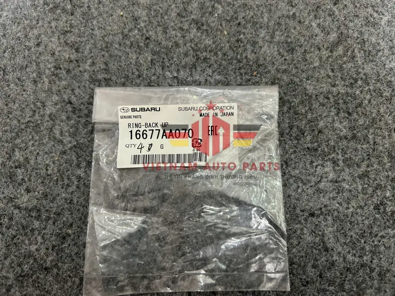 16677AA070