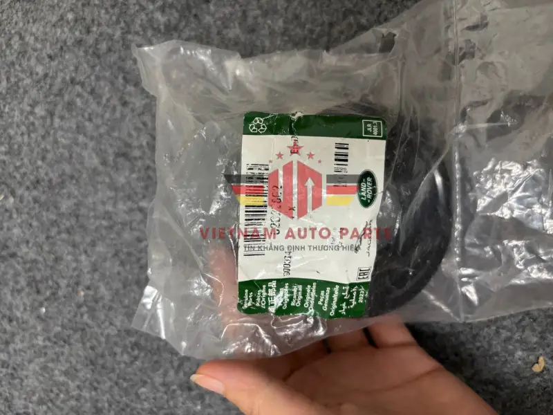 C2C22802